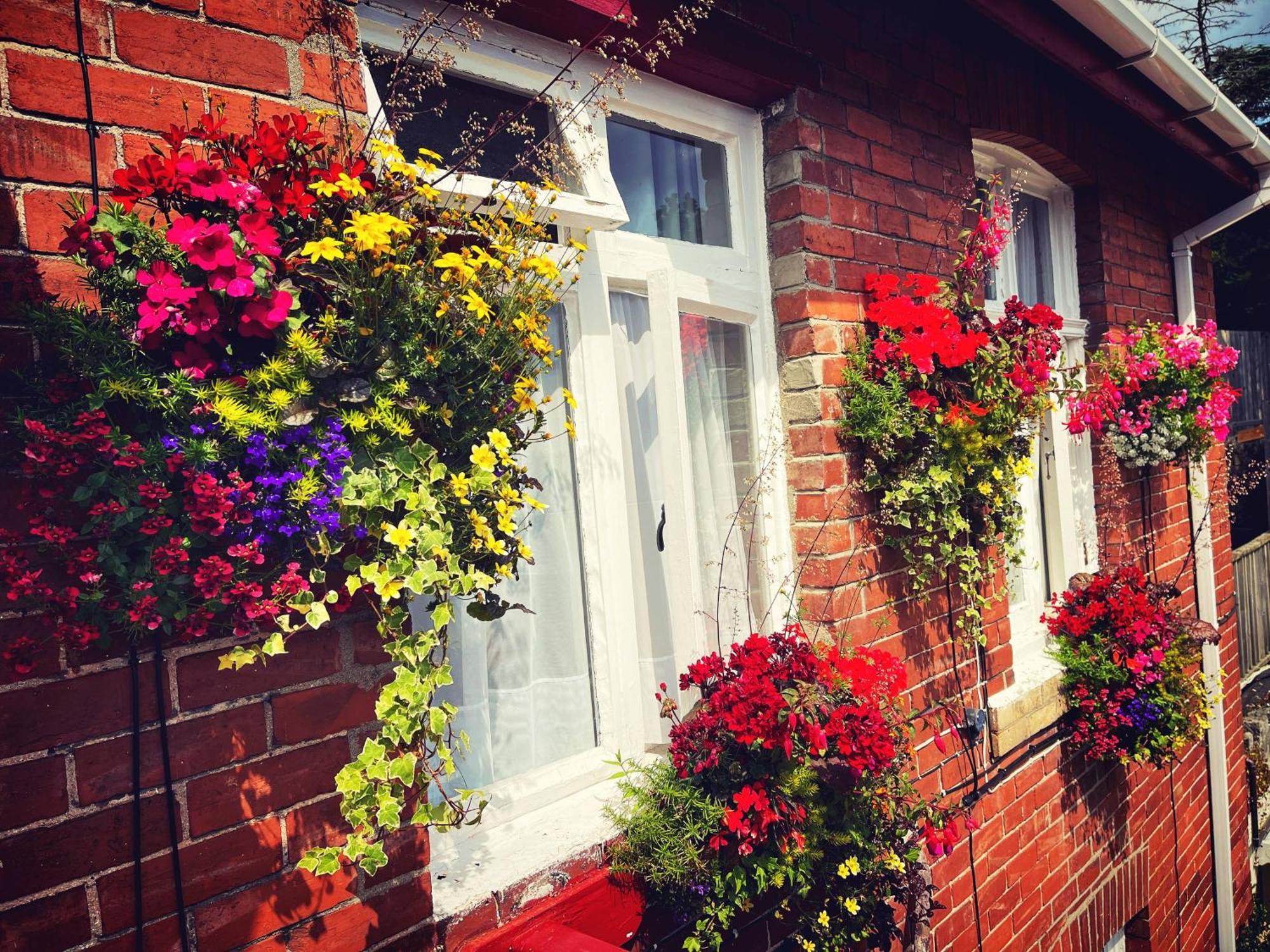 The Robin Hill Bed & Breakfast 4*