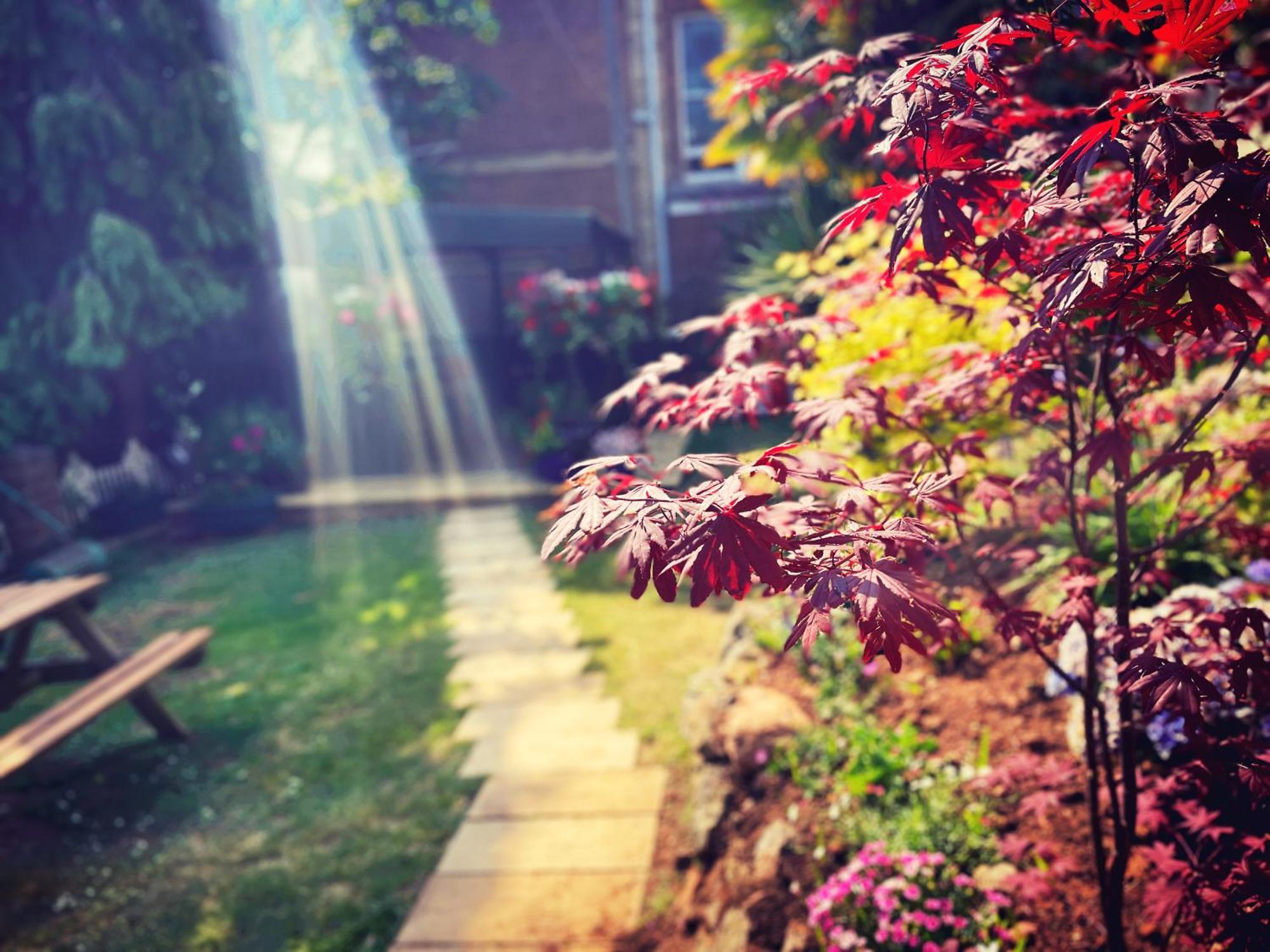 The Robin Hill Bed and breakfast Torquay