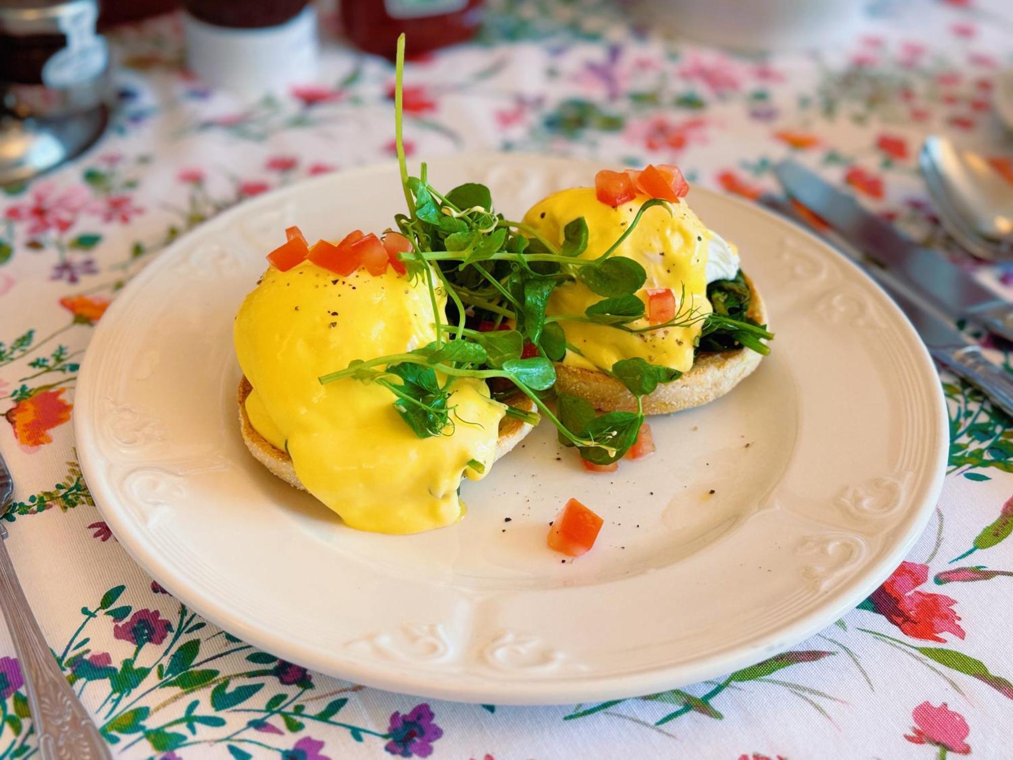 Bed and breakfast The Robin Hill Torquay